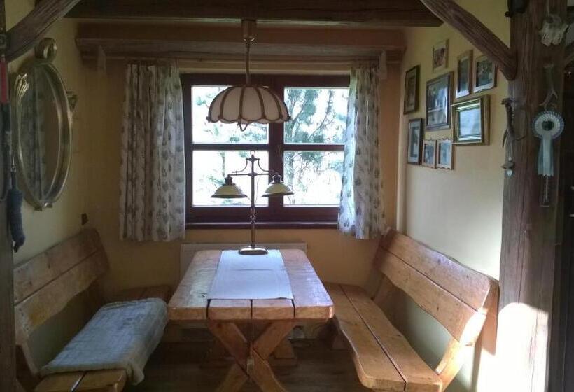 베이직 3인 룸, Amigówka