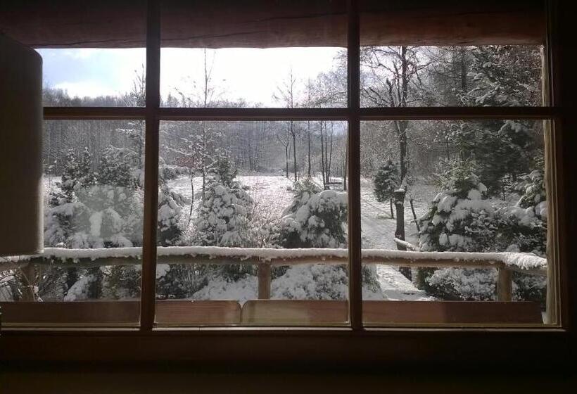 스탠다드 테라스 룸, Amigówka