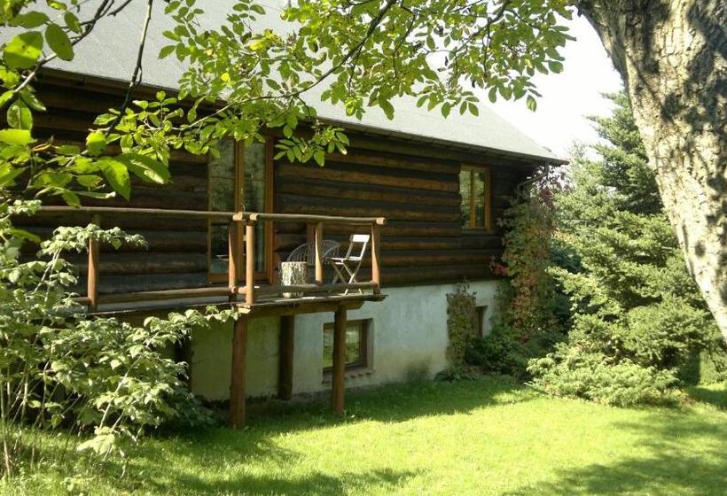 스탠다드 테라스 룸, Amigówka