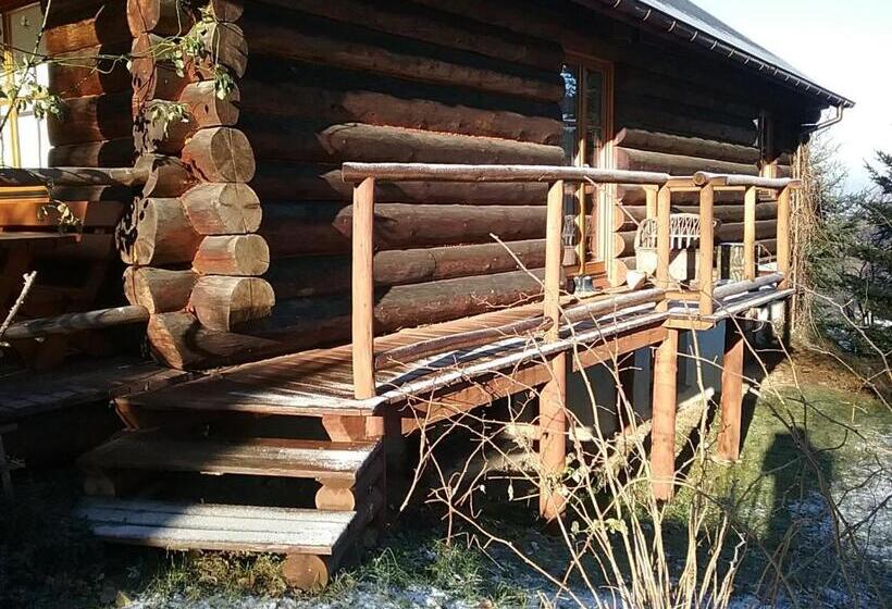 스탠다드 테라스 룸, Amigówka