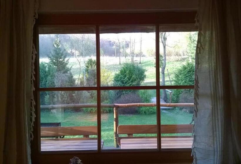 스탠다드 테라스 룸, Amigówka