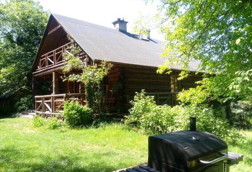 스탠다드 스튜디오 (테라스구비), Amigówka