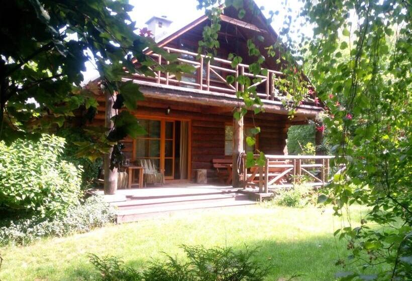 스탠다드 스튜디오 (테라스구비), Amigówka