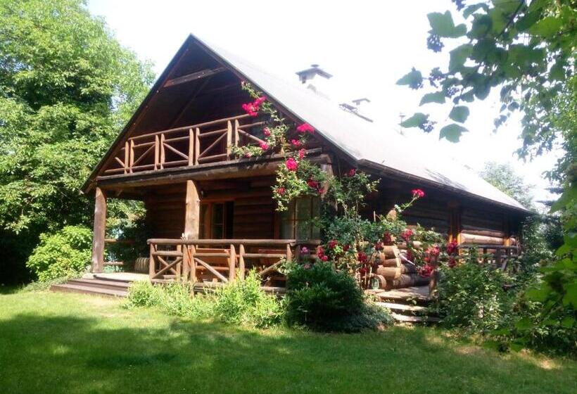 스탠다드 스튜디오 (테라스구비), Amigówka