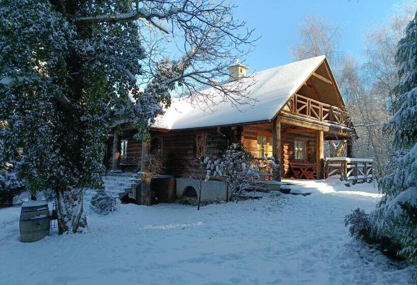 스탠다드 스튜디오 (테라스구비), Amigówka