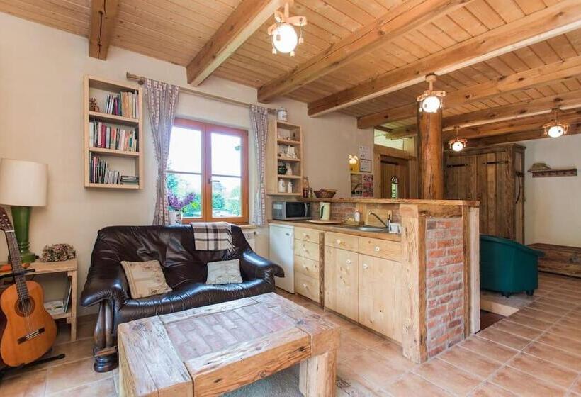 스탠다드 스튜디오 (테라스구비), Amigówka