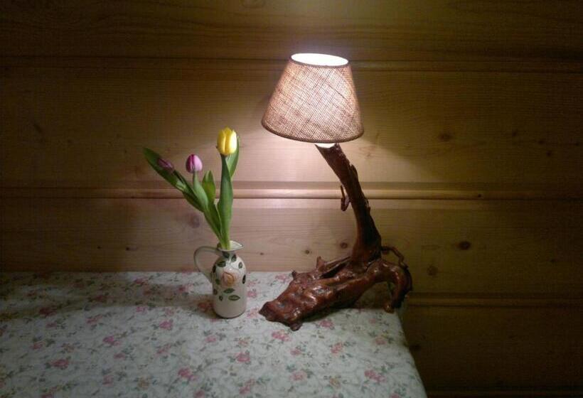 스탠다드 스튜디오 (테라스구비), Amigówka