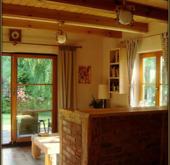 스탠다드 스튜디오 (테라스구비), Amigówka