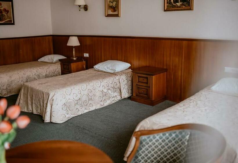 Номер Стандарт Трехместный, Apartamenty Gala