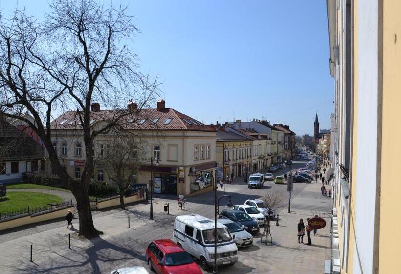 标准单人间, Bristol