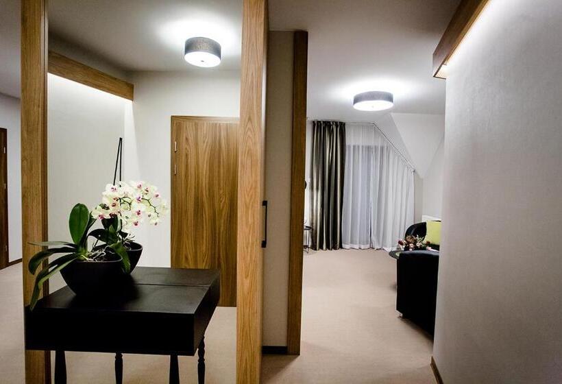 テラス付き１ベッドルームアパートメント, Bulwary Biznes