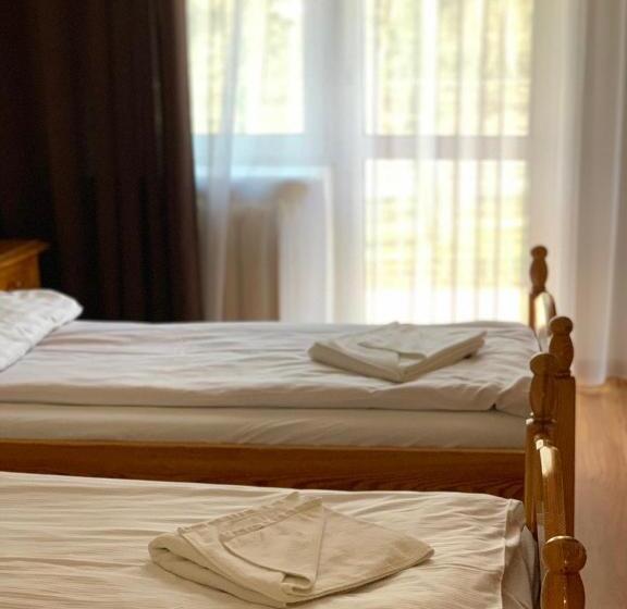 اتاق استاندارد, Olimpik Park