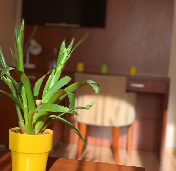 استودیو خانوادگی, Olimpik Park