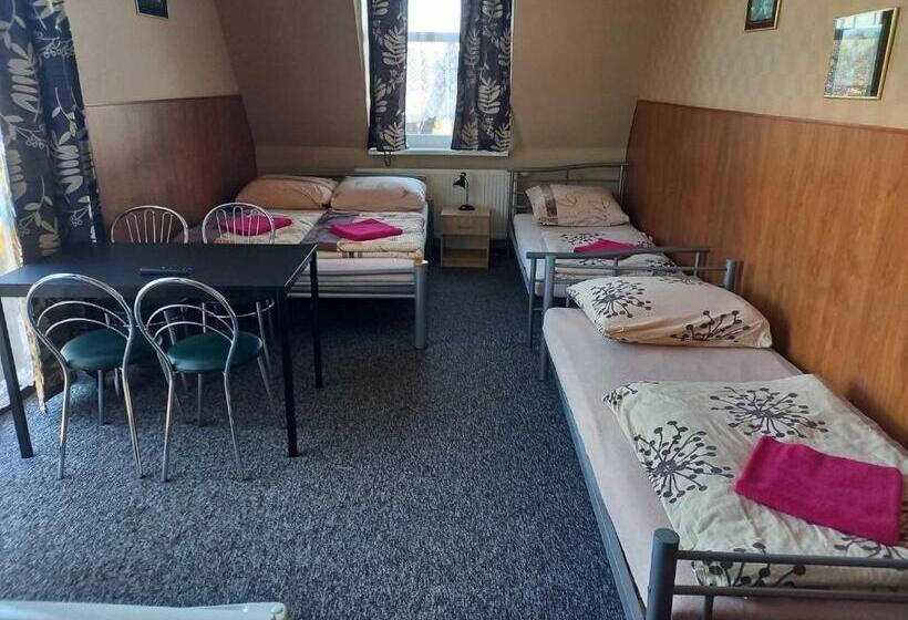 Четырехместный Номер Стандарт, Miltex
