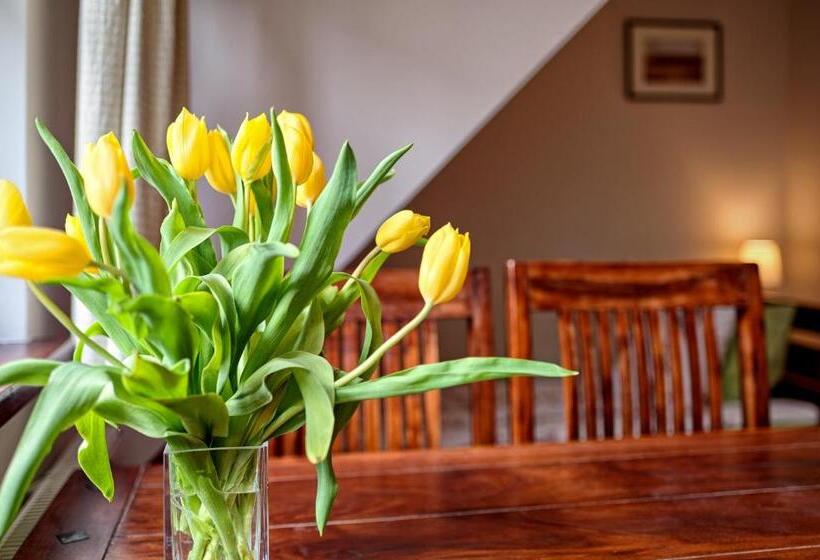 اتاق استاندارد سه نفره, Chata Rybacka Saule