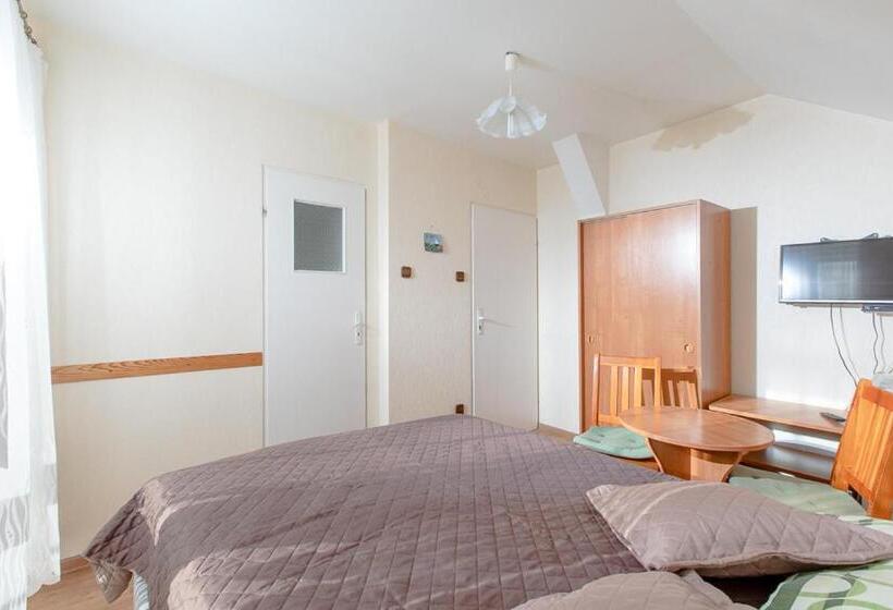 スタンダードルーム, Willa Bryza