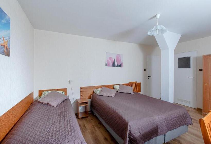 スタンダード4人部屋, Willa Bryza