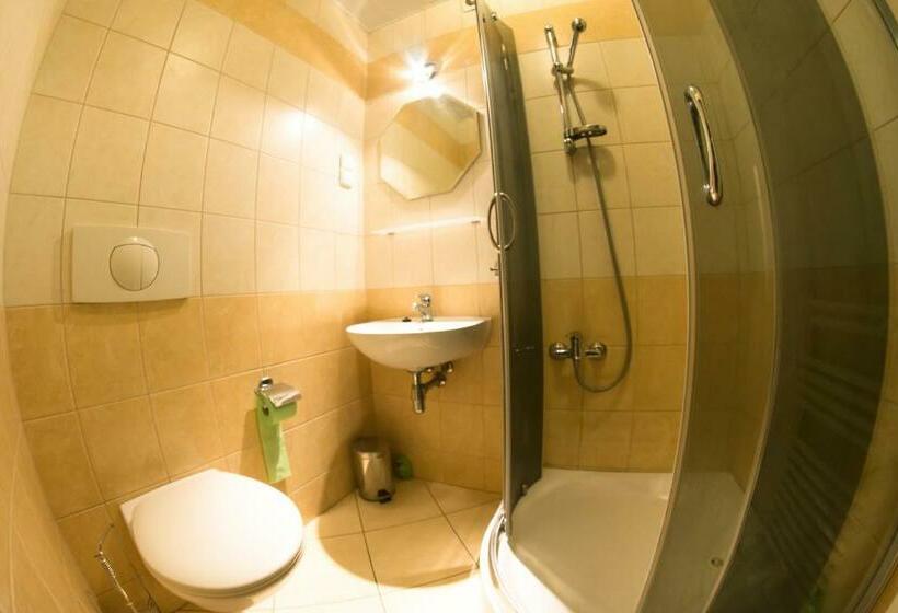 غرفة قياسية, Pensjonat Przy Błoniach