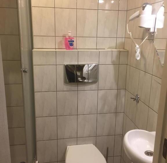 غرفة قياسية, Pensjonat Przy Błoniach