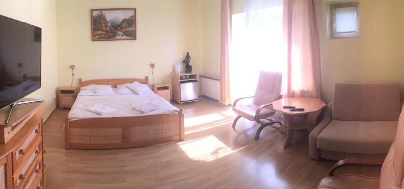 شقة غرفة واحدة, Pensjonat Przy Błoniach