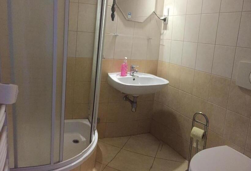 غرفة قياسية ثلاثية, Pensjonat Przy Błoniach