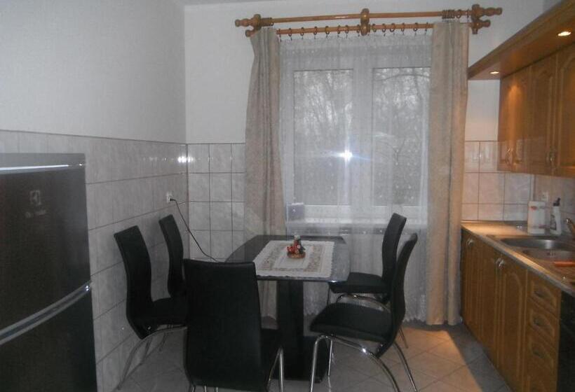 شقة سوبريور غرفة واحدة, Pensjonat Przy Błoniach