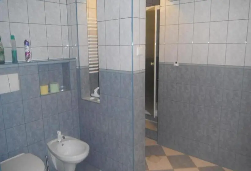 آپارتمان سوپریور 1 خوابه, Pensjonat Przy Błoniach