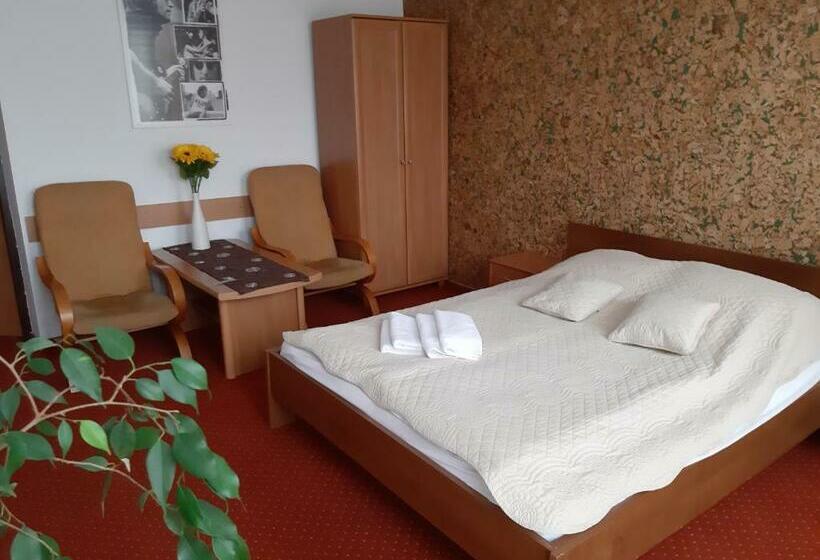 标准工作室带阳台, Willa Jasna