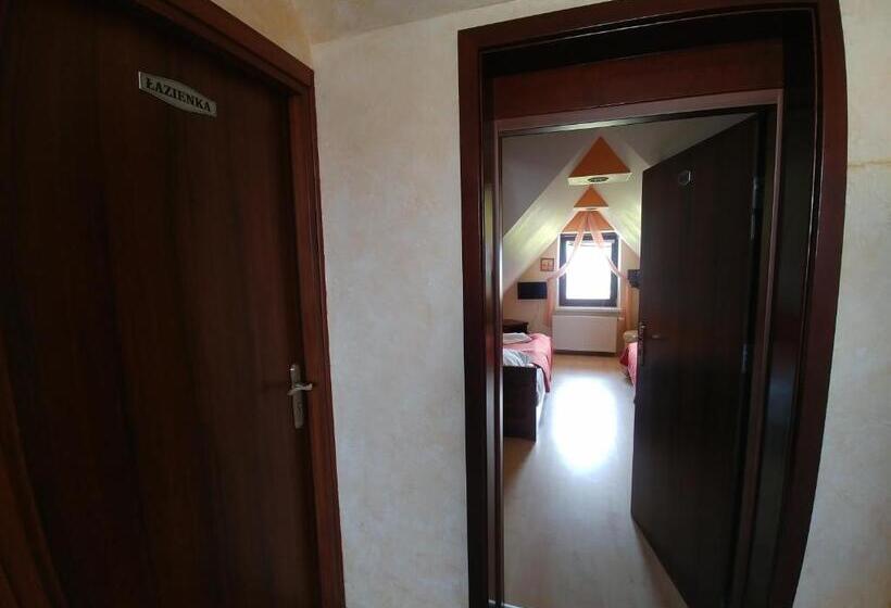 غرفة قياسية مع حمام خارجي, Pensjonat Willa Szarotka