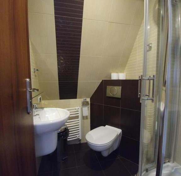 غرفة قياسية مطلّة علي الحديقة, Pensjonat Willa Szarotka