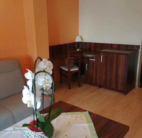 جناح مطل على البحيرة, Pensjonat Willa Szarotka