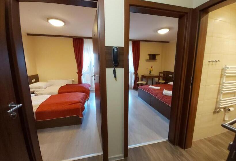 استوديو قياسي مطل على البحيرة, Pensjonat Willa Szarotka