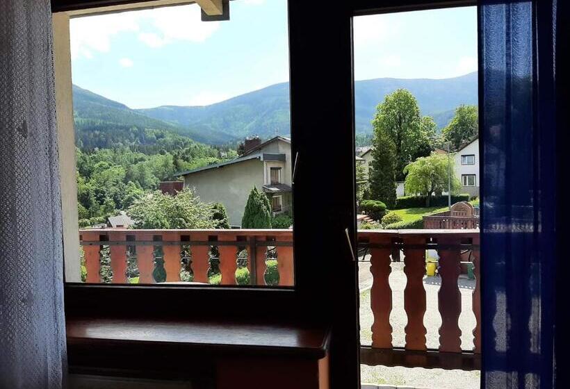 اتاق استاندارد, Usługi Hotelarskie Karpacz