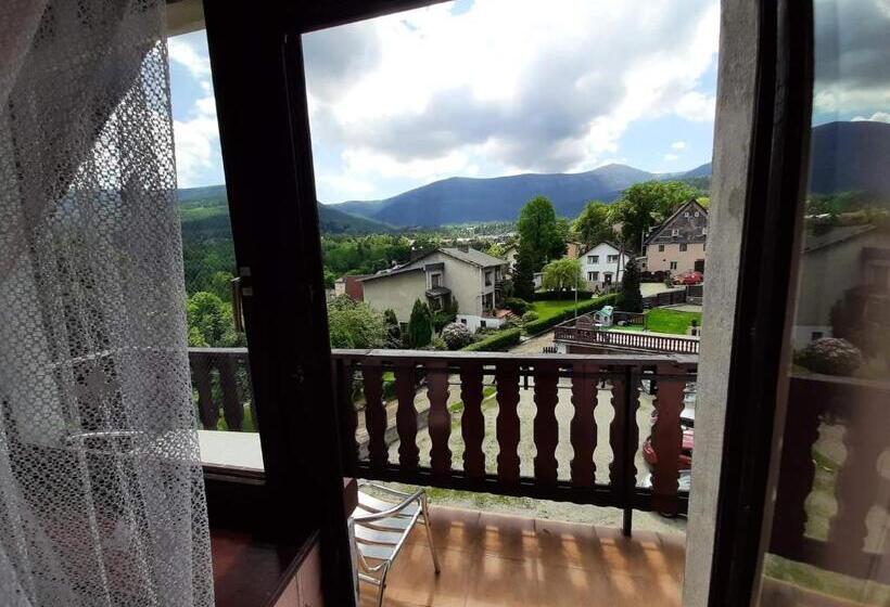 اتاق عادی, Usługi Hotelarskie Karpacz