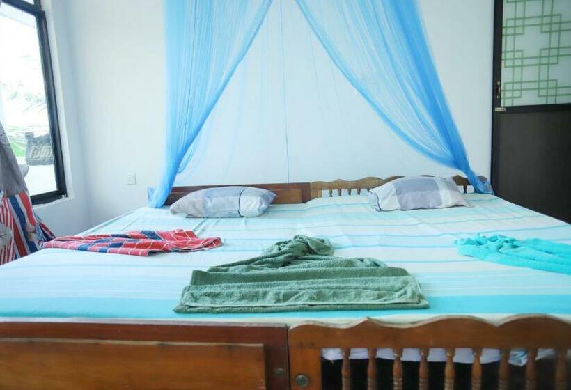 エコノミールーム, Maya Beach