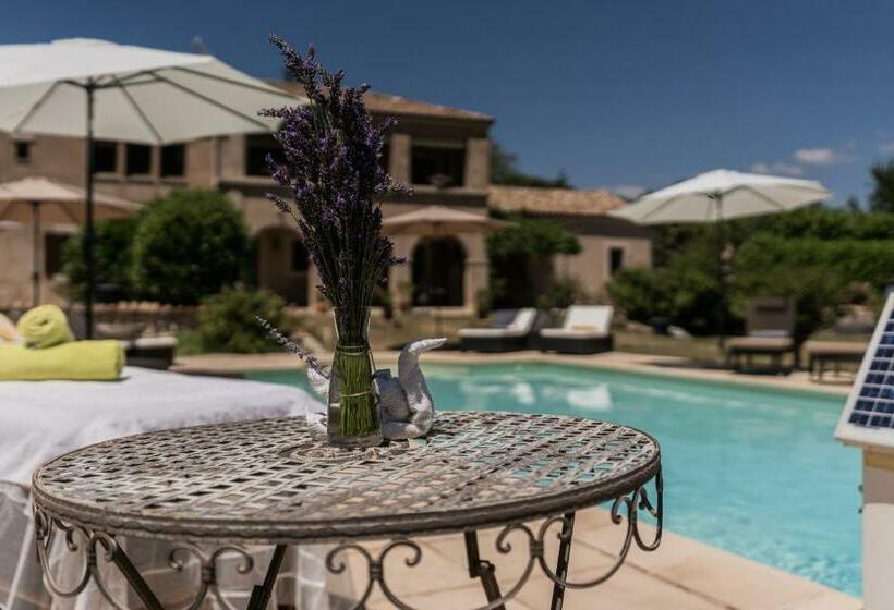 Номер Стандарт, Mon Ventoux  Cozyhotes