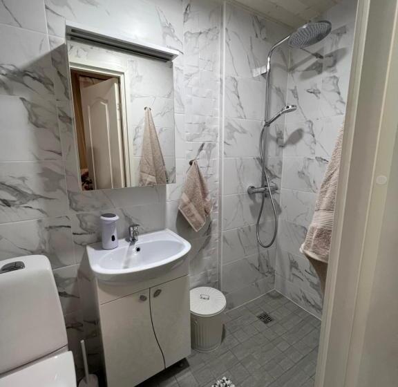 اتاق لوکس با تخت بزرگ, Karlova Manor Apartments