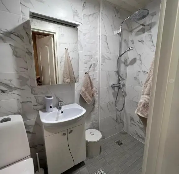 اتاق لوکس با تخت بزرگ, Karlova Manor Apartments