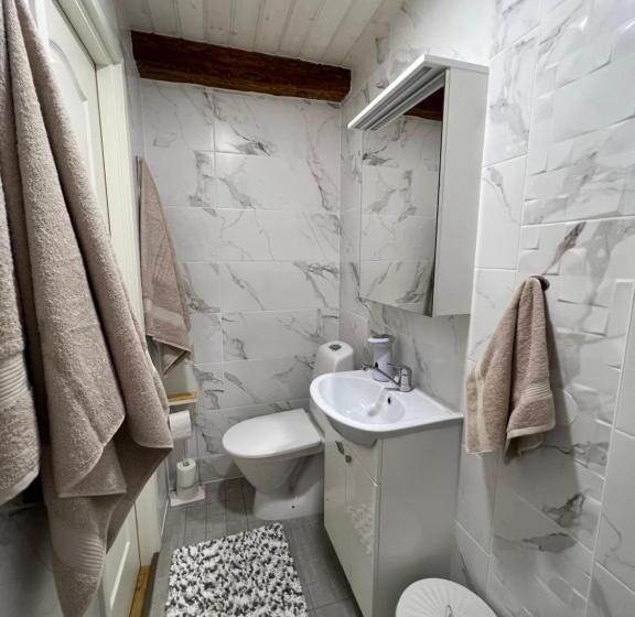 اتاق لوکس با تخت بزرگ, Karlova Manor Apartments