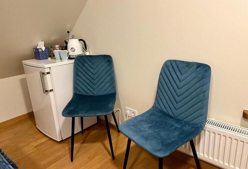 اتاق عادی, Karlova Manor Apartments