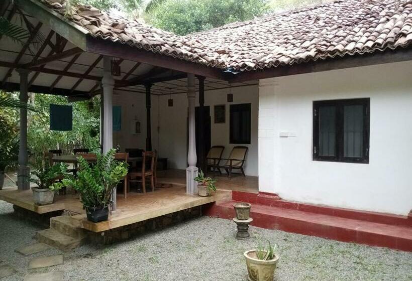 اتاق اکونومی, Rock House