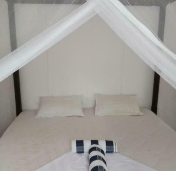 اتاق اکونومی, Rock House