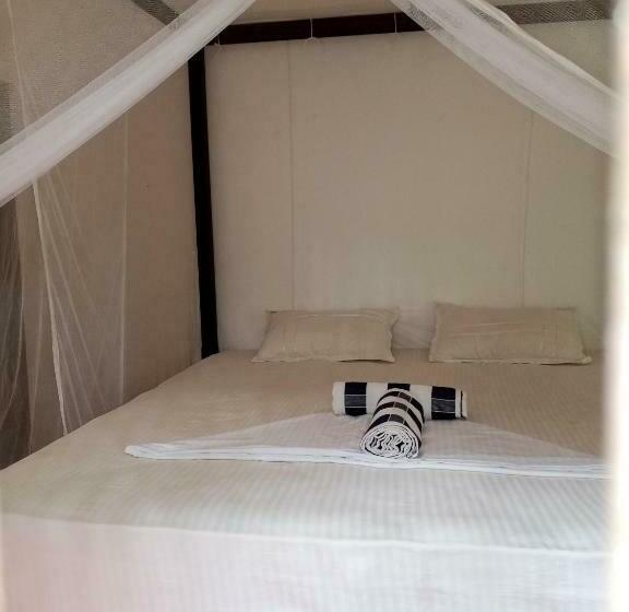 اتاق اکونومی, Rock House