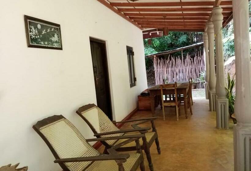 اتاق اکونومی, Rock House