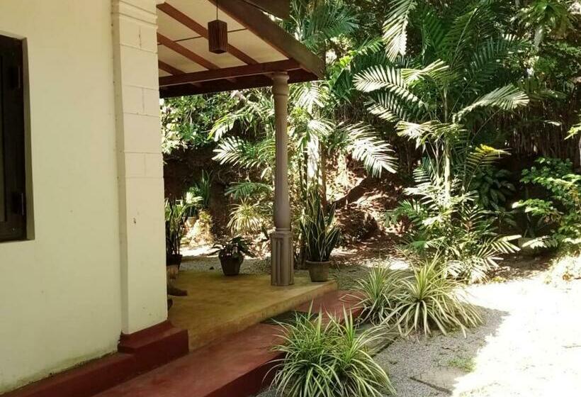 اتاق اکونومی, Rock House