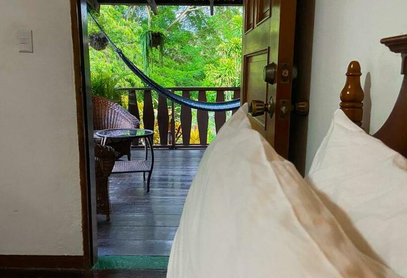 اتاق استاندارد, Garden