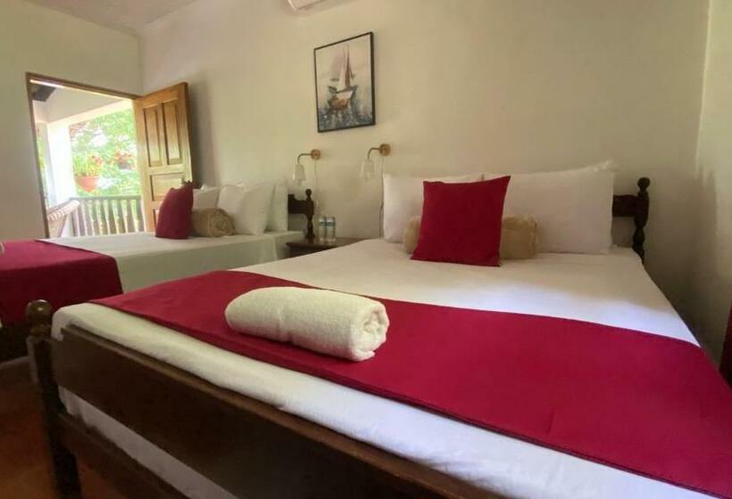 اتاق استاندارد چهار تخته, Garden