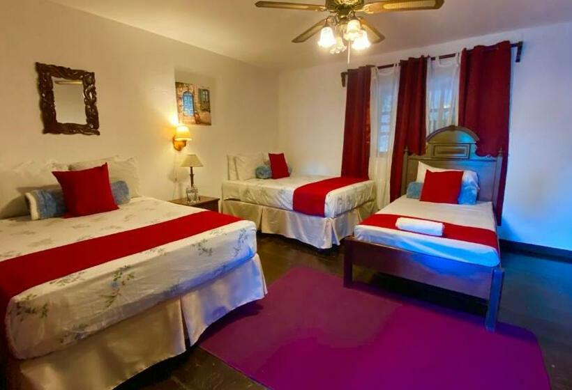 اتاق عادی, Garden