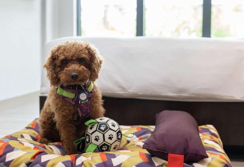 اتاق استاندارد با تخت بزرگ, Hyatt Regency Sanya Tianli Bay