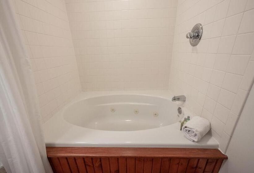 اتاق سوپریور با تخت دو نفره بزرگ, Stone Soup Inn